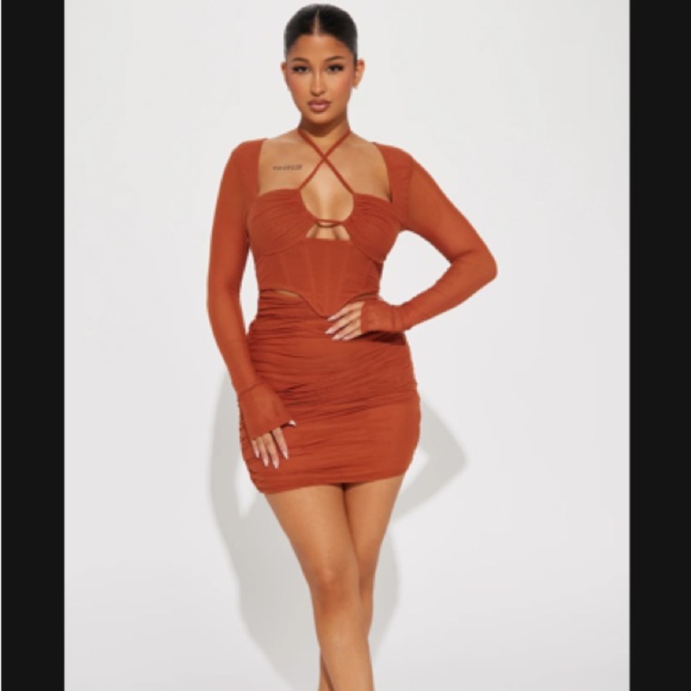 Rust Ruched Mesh Dress